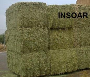 Alfalfa_bales_750Kg_WEB_INSOAR